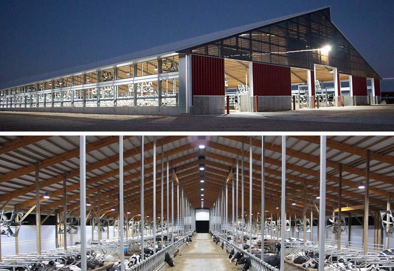 Enhancing Dairy Farm Efficiency with SEEKING LED 150W HBS High Bay Light