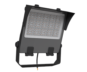 FLX SERIES LED Flood Light