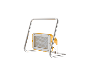 FL8 Portable Light