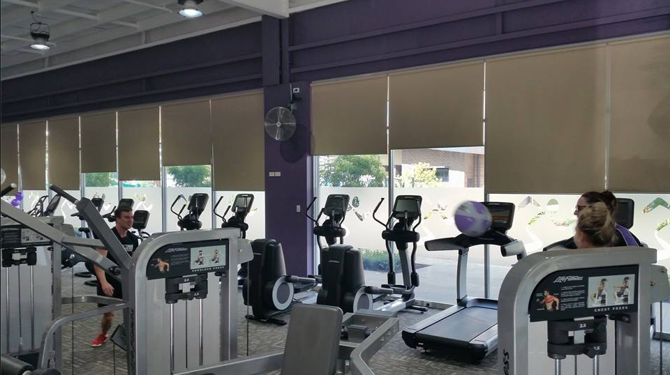 LED high bay and linear lights installed in a gym during daytime