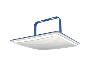 LED High Bay Light Application in a Kindergarten（images 1）