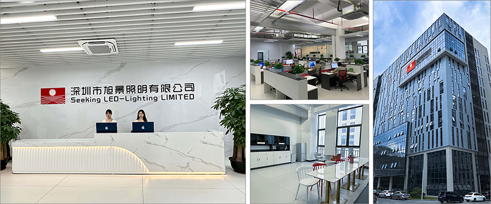 SEEKINGLED LED lighting manufacturer office environment