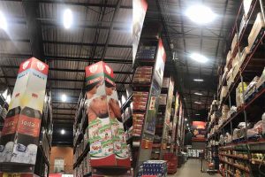 Proud Milestone! SEEKINGLED Illuminates South A...