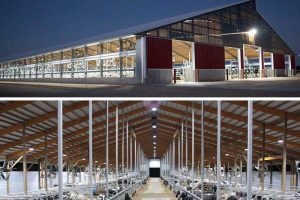 LED High Bay Light for Dairy Farm Lighting Upgrade