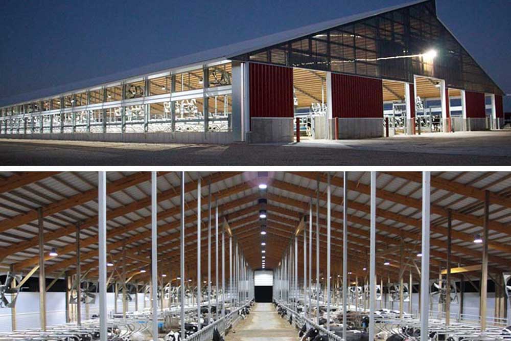 LED High Bay Light for Dairy Farm Lighting Upgrade