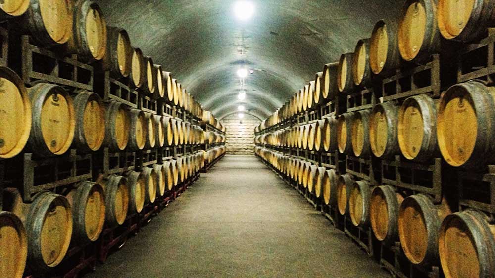 Preferred Safety Lighting Solution for Industrial Wineries and Professional Wine Cellars &mdash; SEEKINGLED LO Series and BAY51 Series Explosion-Proof Lights（images 3）