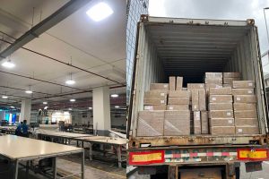 SEEKINGLED GSL Canopy Lights Ship to Belgium Fo...