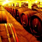 Preferred Safety Lighting Solution for Industrial Wineries and Professional Wine Cellars &mdash; SEEKINGLED LO Series and BAY51 Series Explosion-Proof Lights