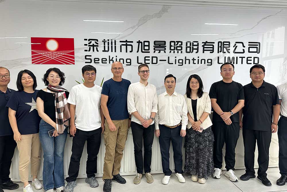 EU Explosion-Proof Notified Body Visits SEEKINGLED Factory for On-Site Product Technical Review Meeting